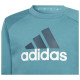 Adidas Παιδικές φόρμες σετ J Big Logo Fleece